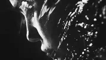 Free download Mezcal El Silencio: Black Magic video and edit with RedcoolMedia MovieStudio video editor online and AudioStudio audio editor onlin