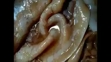 Free download Microbial concert by Adrienn and Marija video and edit with RedcoolMedia movie maker MovieStudio video editor online and AudioStudio audio editor onlin