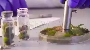 Free download Microbiologist Timelapse Stock Video video and edit with RedcoolMedia movie maker MovieStudio video editor online and AudioStudio audio editor onlin