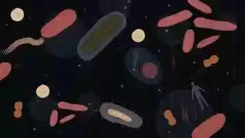 Free download microbiome_animation video and edit with RedcoolMedia movie maker MovieStudio video editor online and AudioStudio audio editor onlin