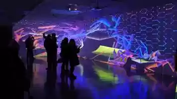 Free download Miguel CHEVALIER Complex Meshes 2020 Pittsburgh (USA) video and edit with RedcoolMedia movie maker MovieStudio video editor online and AudioStudio audio editor onlin