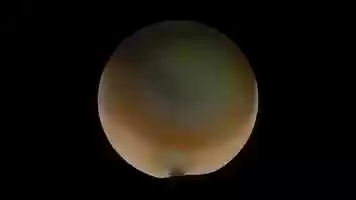 Free download MIKA KAILES I VISCERAL BODIES ON SHOWSTUDIO TRAILER video and edit with RedcoolMedia movie maker MovieStudio video editor online and AudioStudio audio editor onlin