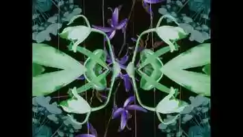 Free download MIL KDU DES : OK BLOOMER : (Project Arcturus edit 2020 / Full) video and edit with RedcoolMedia movie maker MovieStudio video editor online and AudioStudio audio editor onlin
