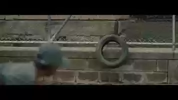 Free download Milo_Baseball_HD video and edit with RedcoolMedia movie maker MovieStudio video editor online and AudioStudio audio editor onlin