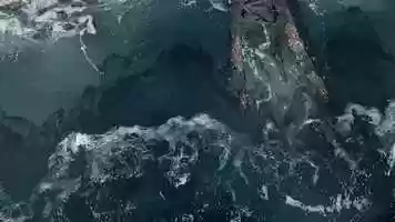 Free download Mimic | Houdini Fx course final project video and edit with RedcoolMedia movie maker MovieStudio video editor online and AudioStudio audio editor onlin