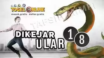 Mimpi Ular - Bocoran Hk / Buku Mimpi Togelonline.mp4