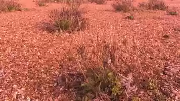 Free download Minding Mama Crowdfunding Trailer video and edit with RedcoolMedia movie maker MovieStudio video editor online and AudioStudio audio editor onlin