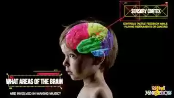 Free download Mini Maestros Engages These 9 Areas of The Brain! video and edit with RedcoolMedia movie maker MovieStudio video editor online and AudioStudio audio editor onlin
