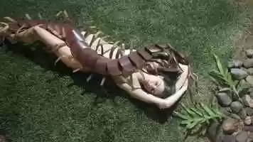 Free download Miramar - Salida (Official Music Video) video and edit with RedcoolMedia movie maker MovieStudio video editor online and AudioStudio audio editor onlin