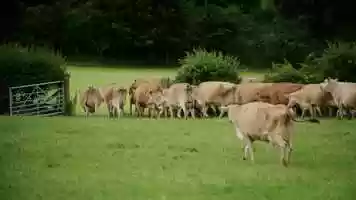 Free download Mitigating Methane Trailer video and edit with RedcoolMedia movie maker MovieStudio video editor online and AudioStudio audio editor onlin