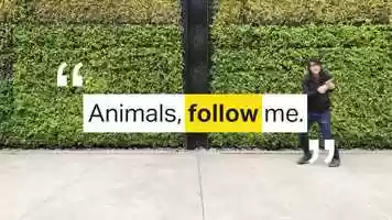 Free download Moatboat :: Animals Chase Me video and edit with RedcoolMedia movie maker MovieStudio video editor online and AudioStudio audio editor onlin