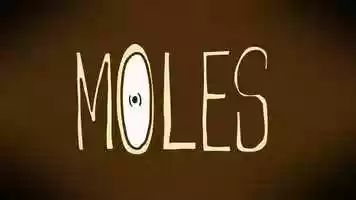 Free download Moles video and edit with RedcoolMedia movie maker MovieStudio video editor online and AudioStudio audio editor onlin