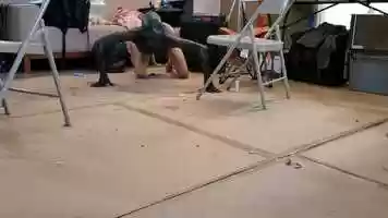 Free download Momster movement test video and edit with RedcoolMedia movie maker MovieStudio video editor online and AudioStudio audio editor onlin