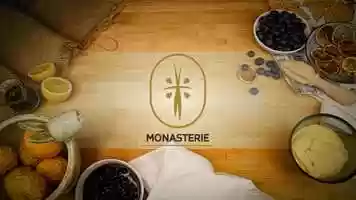 Free download Monesterie Logo animation video and edit with RedcoolMedia movie maker MovieStudio video editor online and AudioStudio audio editor onlin