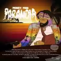 Free download Money Man - Paranoia video and edit with RedcoolMedia movie maker MovieStudio video editor online and AudioStudio audio editor onlin