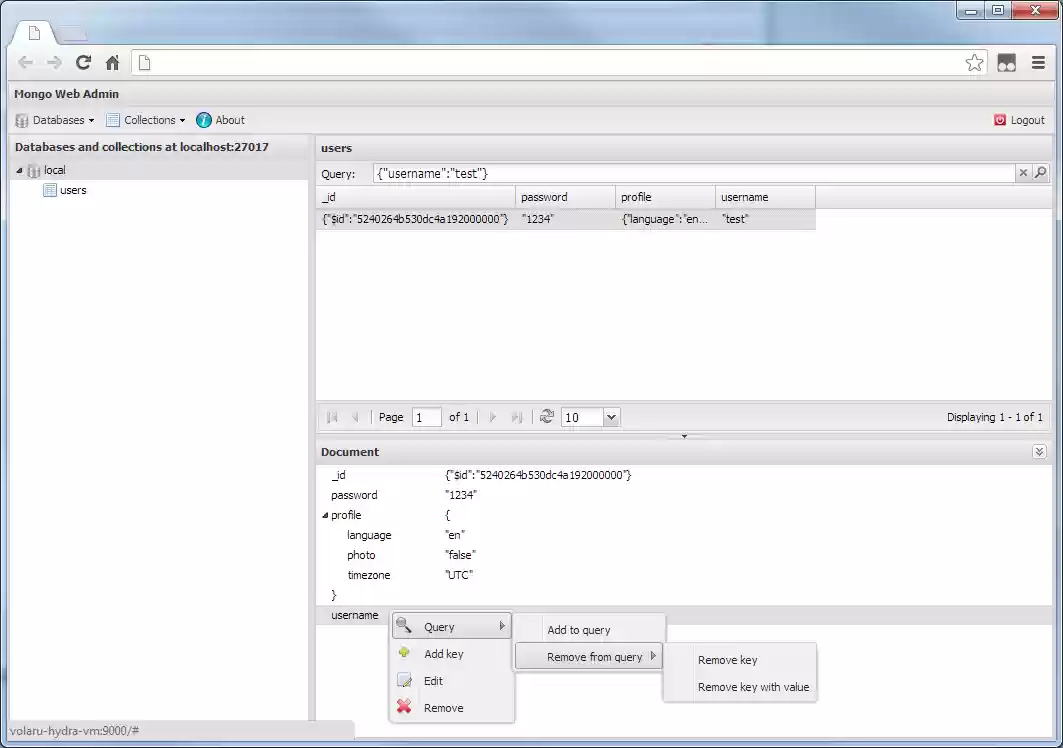 Download web tool or web app Mongo Admin