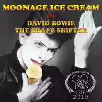 Free download Moonage Ice Cream (aka David Bowie the Shape Shifter) video and edit with RedcoolMedia movie maker MovieStudio video editor online and AudioStudio audio editor onlin