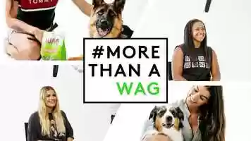 Free download MORE THAN A WAG - Reclaim The Word - #MoreThanAWAG video and edit with RedcoolMedia movie maker MovieStudio video editor online and AudioStudio audio editor onlin