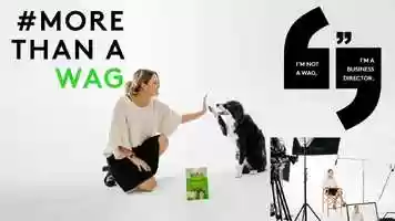 Free download MORE THAN A WAG || WITH Tiffany Wood video and edit with RedcoolMedia movie maker MovieStudio video editor online and AudioStudio audio editor onlin