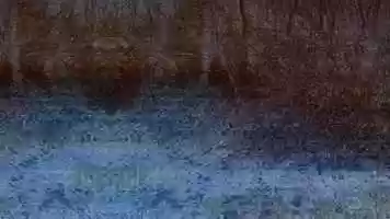 Free download mor video and edit with RedcoolMedia movie maker MovieStudio video editor online and AudioStudio audio editor onlin