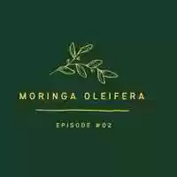 Free download Moringa Oleifera | EPISODE #02 | @PopoLeboy video and edit with RedcoolMedia movie maker MovieStudio video editor online and AudioStudio audio editor onlin