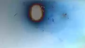 Free download motherfuckingsignature - trailer video and edit with RedcoolMedia movie maker MovieStudio video editor online and AudioStudio audio editor onlin