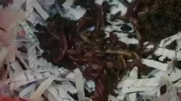 Free download Mothers Little Helpers Teaser video and edit with RedcoolMedia movie maker MovieStudio video editor online and AudioStudio audio editor onlin