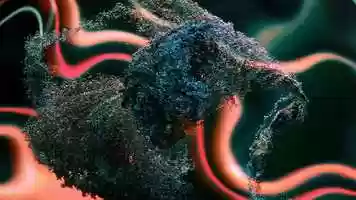 Free download Motion Design Reel 2020 video and edit with RedcoolMedia movie maker MovieStudio video editor online and AudioStudio audio editor onlin