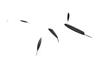 Free download Motion logo - Parc Venne Libre video and edit with RedcoolMedia movie maker MovieStudio video editor online and AudioStudio audio editor onlin