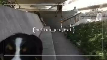 Free download motion_project video and edit with RedcoolMedia movie maker MovieStudio video editor online and AudioStudio audio editor onlin