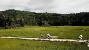 Free download Mountainbike Tours around loboc video and edit with RedcoolMedia movie maker MovieStudio video editor online and AudioStudio audio editor onlin