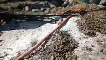 Free download Mountaineering Equipment Stock Video video and edit with RedcoolMedia movie maker MovieStudio video editor online and AudioStudio audio editor onlin