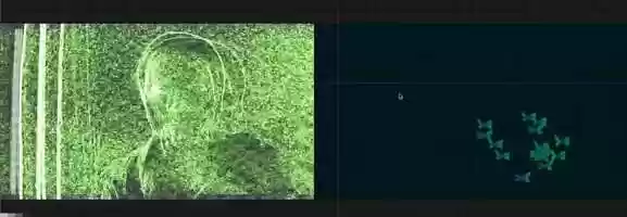 Free download Mouse Control Butterfly video and edit with RedcoolMedia movie maker MovieStudio video editor online and AudioStudio audio editor onlin