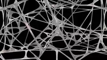 Free download MOVEMENT DOWN  LENGTHENING DIVIDING SLIDING GLIDING SYSTEM FIBRILLAR NETWORK 3D  ANIMATION video and edit with RedcoolMedia movie maker MovieStudio video editor online and AudioStudio audio editor onlin