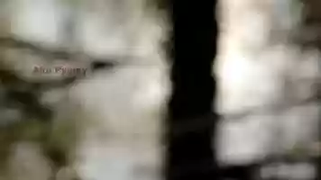 Free download Movement: Galaxy and CZ Sonnar 135mm video and edit with RedcoolMedia movie maker MovieStudio video editor online and AudioStudio audio editor onlin