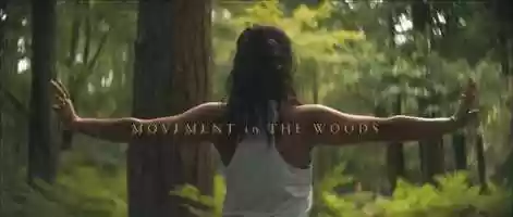 Free download Movement in the woods video and edit with RedcoolMedia movie maker MovieStudio video editor online and AudioStudio audio editor onlin