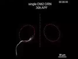 Free download Movie1-1.mp4 video and edit with RedcoolMedia movie maker MovieStudio video editor online and AudioStudio audio editor onlin