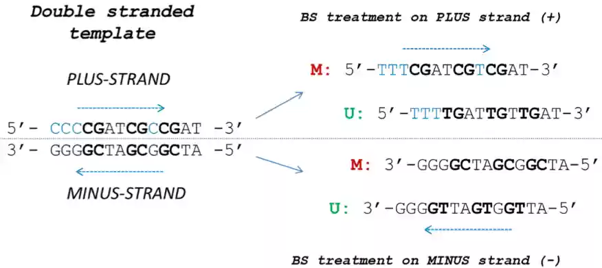 Download web tool or web app MSP-HTPrimer
