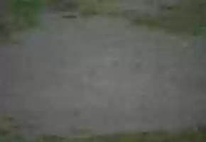 Free download Mud Puddle - Heavy Rain video and edit with RedcoolMedia movie maker MovieStudio video editor online and AudioStudio audio editor onlin