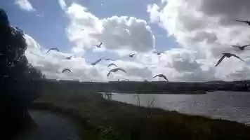 Free download Mundy Pond - Before and After Hurricane Larry.Movie.axp.mpg video and edit with RedcoolMedia movie maker MovieStudio video editor online and AudioStudio audio editor onlin