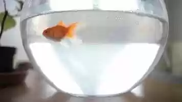 Free download Music by Ner Varrotsi video and edit with RedcoolMedia movie maker MovieStudio video editor online and AudioStudio audio editor onlin