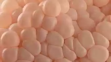 Free download Muz TV | 10 Sexy video and edit with RedcoolMedia movie maker MovieStudio video editor online and AudioStudio audio editor onlin