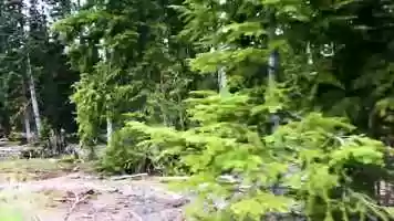 Free download My 2018 video and edit with RedcoolMedia movie maker MovieStudio video editor online and AudioStudio audio editor onlin