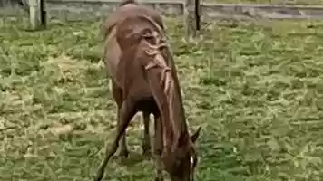 Free download My Movie - April 2020 video and edit with RedcoolMedia movie maker MovieStudio video editor online and AudioStudio audio editor onlin