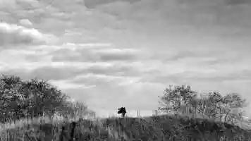 Free download Nadia Chechet | SMALL | Music Video video and edit with RedcoolMedia movie maker MovieStudio video editor online and AudioStudio audio editor onlin