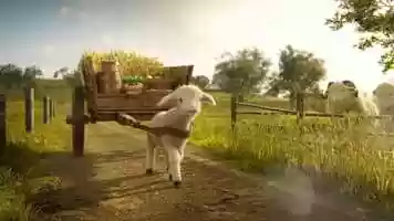 Free download Natural Cracker Company_30s video and edit with RedcoolMedia movie maker MovieStudio video editor online and AudioStudio audio editor onlin