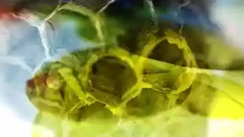 Free download natural spaces - waldundwiesenwerk video and edit with RedcoolMedia movie maker MovieStudio video editor online and AudioStudio audio editor onlin