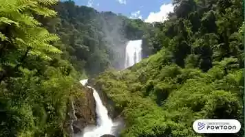 Free download Natura preservada X Natureza destruda video and edit with RedcoolMedia movie maker MovieStudio video editor online and AudioStudio audio editor onlin