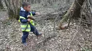 Free download Nature Education A Learning Approach Lesson 3 Clip video and edit with RedcoolMedia movie maker MovieStudio video editor online and AudioStudio audio editor onlin