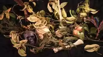 Free download Nature Morte EXCERPT, 2019 video and edit with RedcoolMedia movie maker MovieStudio video editor online and AudioStudio audio editor onlin